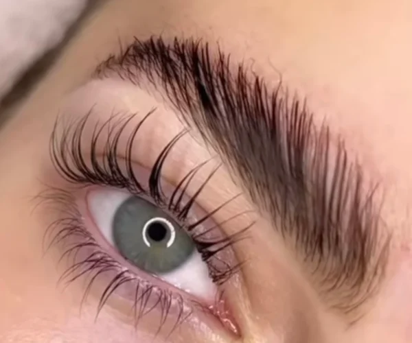 Lash Lift & brow lamination