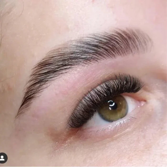 Lashes & Brows 2 vvv